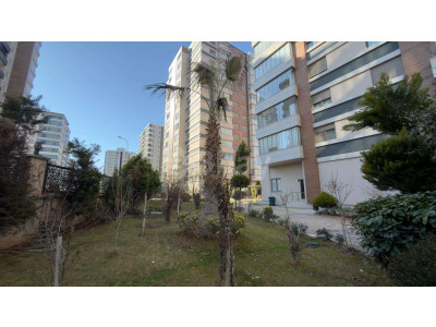 WhatsApp Image 2026-02-04 at 11.58.42 (1).jpeg